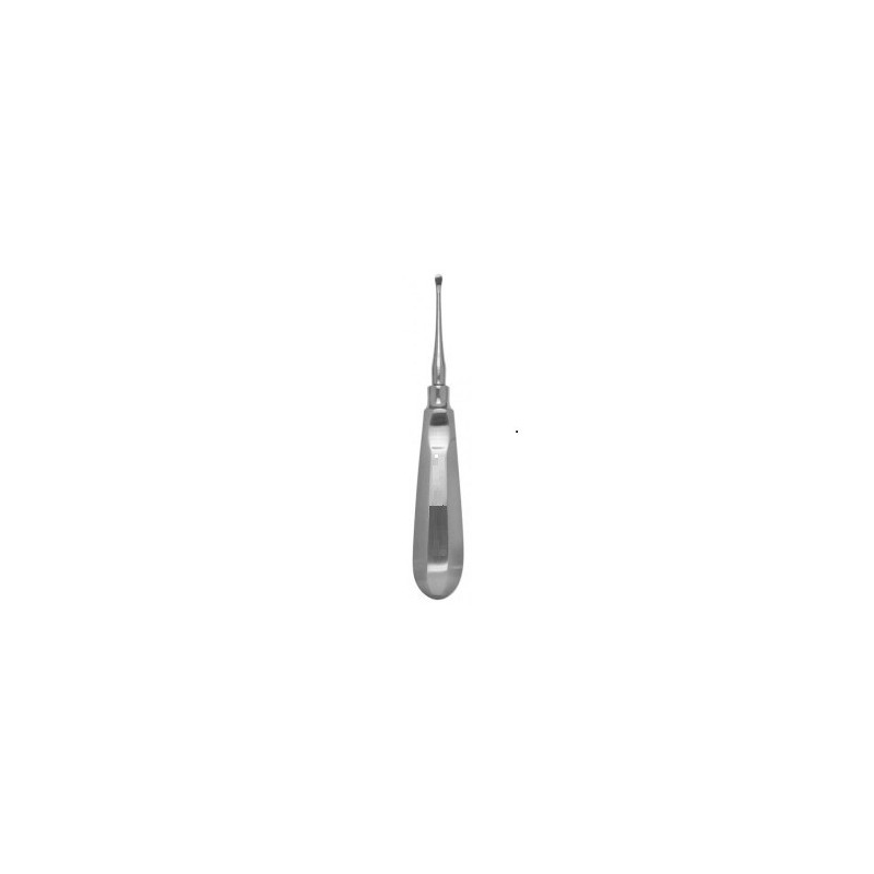 Molt Curette