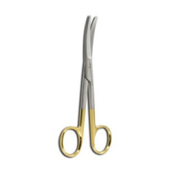 Dissecting Scissors