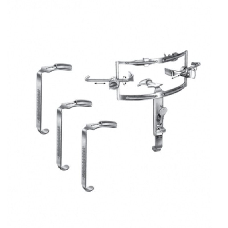 Dingman Mouth Gag Set