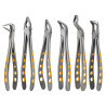 eXcel ™ Forceps Set Gold