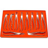 Extraction Forceps Set