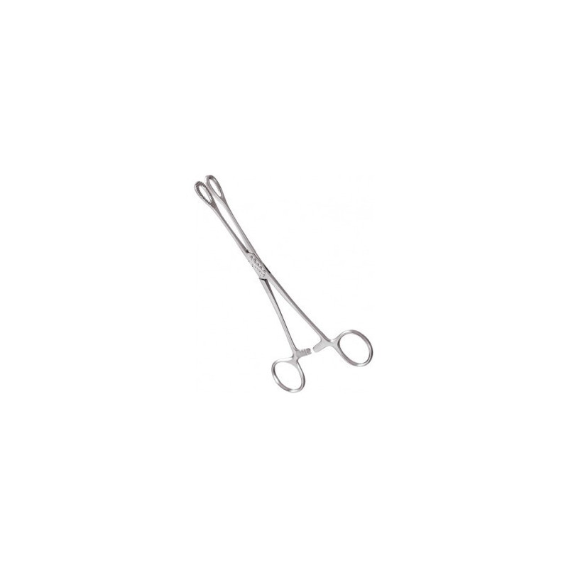 Spounch Forceps