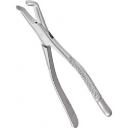 Extracting Forceps Adults