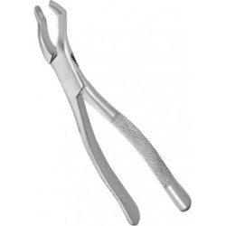 Extracting Forceps Adults