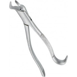 Extracting Forceps Adults
