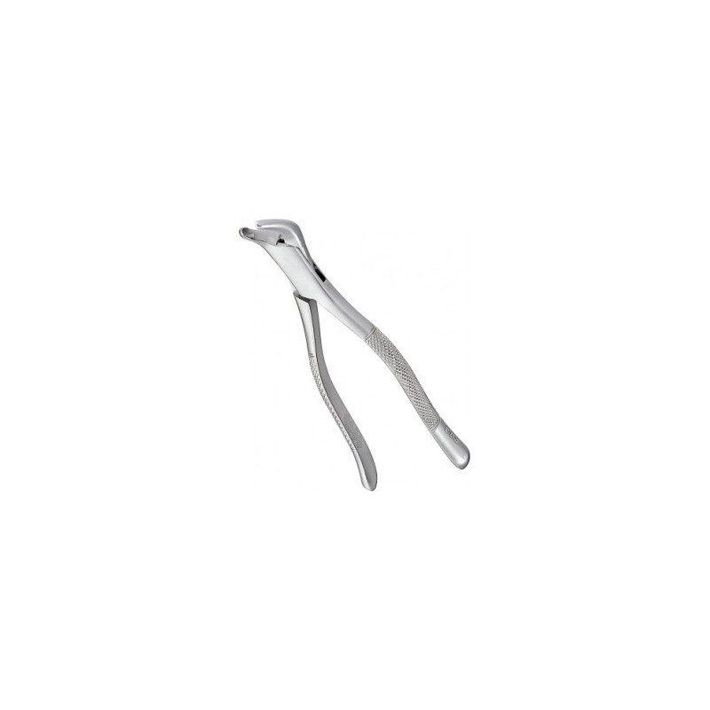 Extracting Forceps Adults