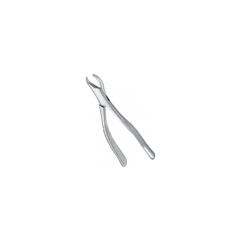 Extracting Forceps Adults
