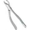 Extracting Forceps Adults