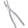 Extracting Forceps Adults