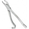 Extracting Forceps Adults