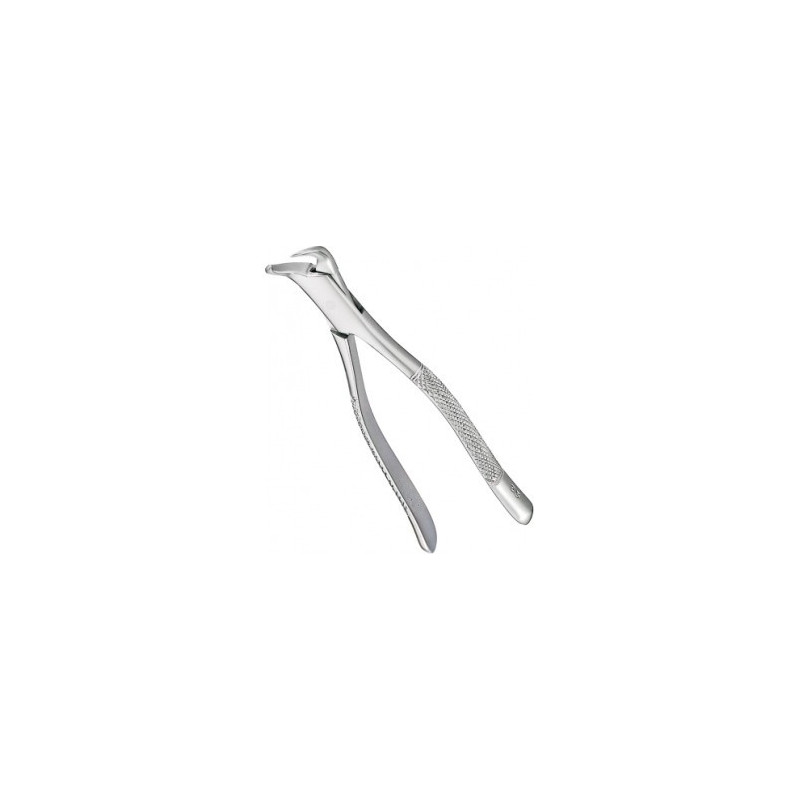 Extracting Forceps Adults