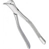 Extracting Forceps Adults