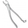 Extracting Forceps Adults
