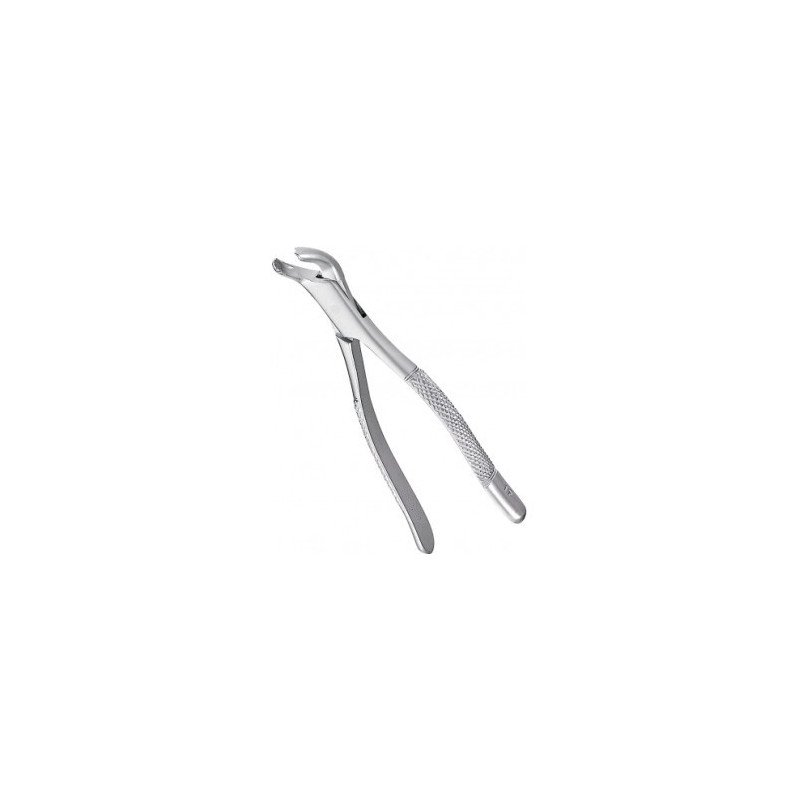 Extracting Forceps Adults