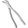Extracting Forceps Adults